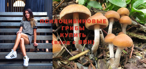 эйфоретик Володарск