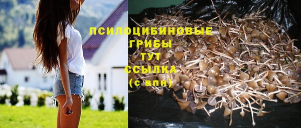 ешки Волоколамск