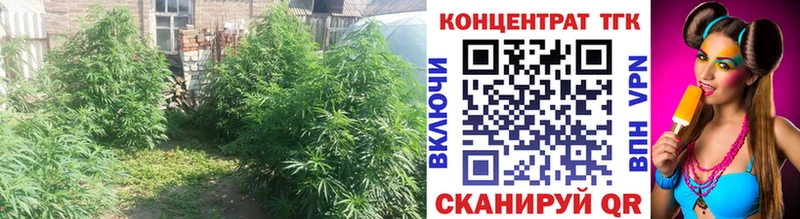 Дистиллят ТГК концентрат  купить закладку  Ростов-на-Дону 
