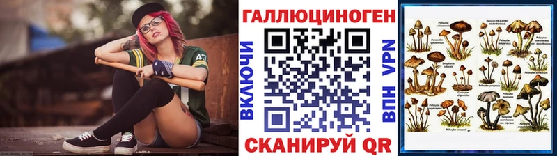 Галлюциногенные грибы Psilocybe  Ростов-на-Дону 
